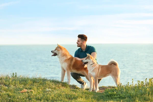 Jovem caminhando seus adoráveis cães Akita Inu perto do rio — Fotografia de Stock