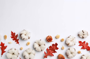 Beyaz arka plan üzerinde pamuk çiçekleri ile Kompozisyon, üst görünüm