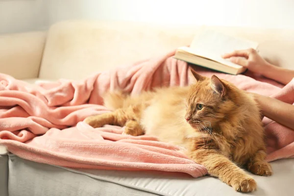 Γυναίκα με χαριτωμένο κόκκινη γάτα και το βιβλίο στον καναπέ στο σπίτι, closeup άποψη. Χώρος για κείμενο — Φωτογραφία Αρχείου