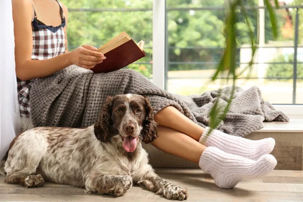Pencere, closeup görünümü üzerinde sahibi ile sevimli Rus Spaniel. Metin için alan