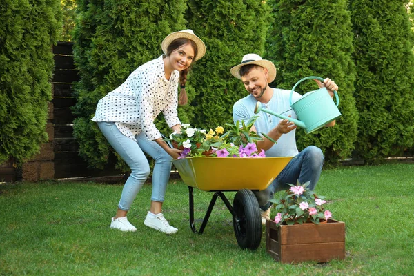 Pasangan bahagia bekerja sama di kebun hijau — Stok Foto