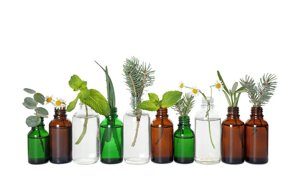 Üvegpalack különböző illóolajok növényekkel fehér alapon — Stock Fotó