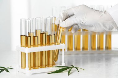 Doktor kenevir analizi için idrar örneğiyle test tüpü alıyor.