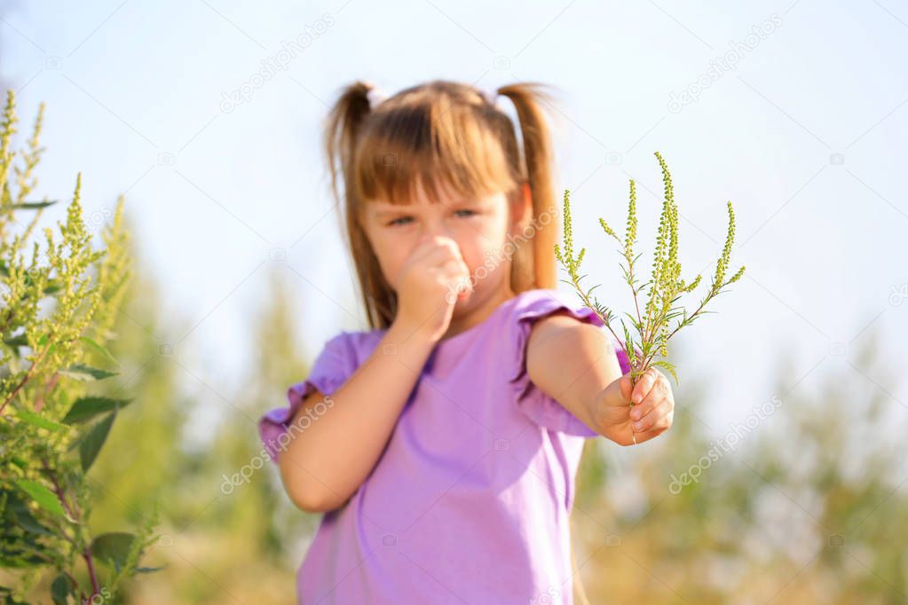 Little girl with ragweed branch suffering from allergy outdoors, focus on hand