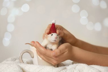 Bulanık ışıklara karşı Noel Baba şapkalı şirin bir fare tutan kadın, yakın plan. Çin Yeni Yıl sembolü