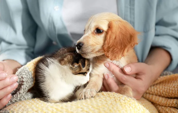 Proprietário com gatinho adorável e filhote de cachorro, close-up — Fotografia de Stock