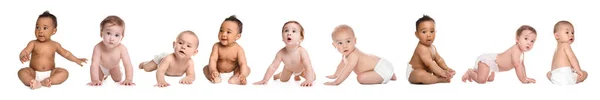 Collage of cute little babies on white background — Stock Photo, Image