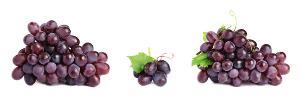 Conjunto de uvas frescas e suculentas sobre fundo branco — Fotografia de Stock