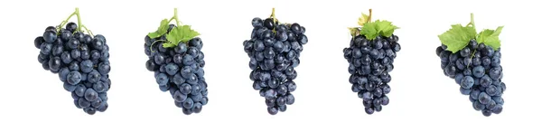 Ensemble de raisins frais juteux sur fond blanc — Photo