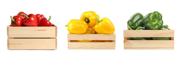 Set of wooden crates with different bell peppers on white background — 스톡 사진
