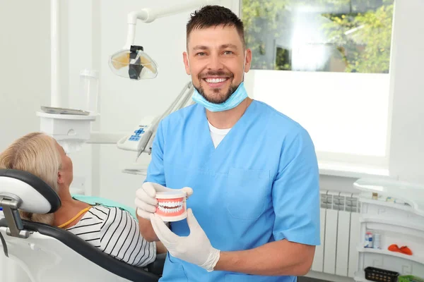 Professional dentist holding jaws model in clinic