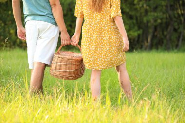 Yeşil çimlerde piknik sepeti olan genç bir çift.