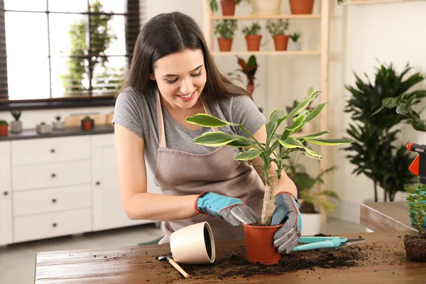 Mujer joven cuidando de la planta en casa — Foto de Stock