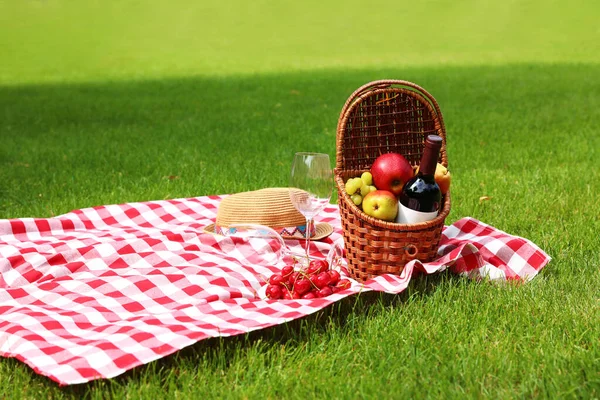 Корзина для пикника с фруктами и бутылкой вина на клетчатом одеяле в саду — стоковое фото