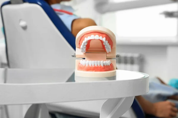 Modelo de mandíbulas na mesa no escritório de dentista moderno, close-up — Fotografia de Stock
