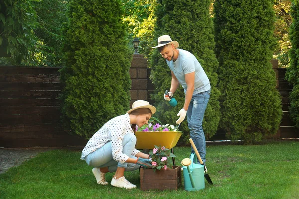 Heureux couple travaillant ensemble dans un jardin vert — Photo
