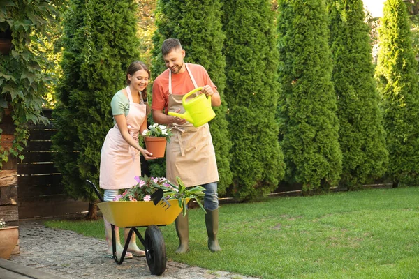 Heureux couple travaillant ensemble dans un jardin vert — Photo