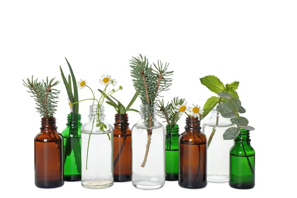 Üvegpalack különböző illóolajok növényekkel fehér alapon — Stock Fotó