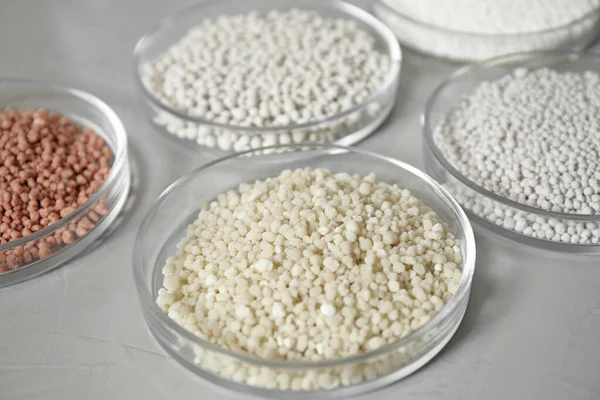 Işık masasının üzerinde farklı mineral gübreleri olan petri kapları. Laboratuvar araştırması