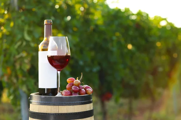 Složení s vínem a zralými hrozny na sudu na vinici — Stock fotografie