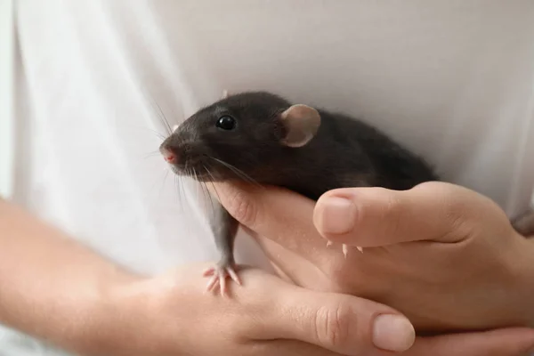 Jonge vrouw met schattig klein rat, close-up — Stockfoto