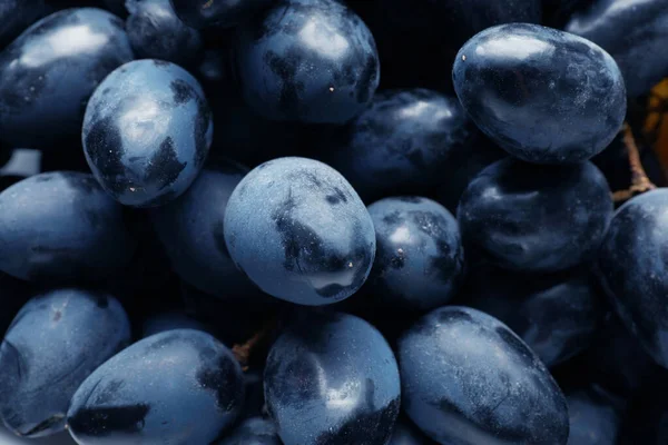Uvas jugosas frescas maduras como fondo, primer plano —  Fotos de Stock