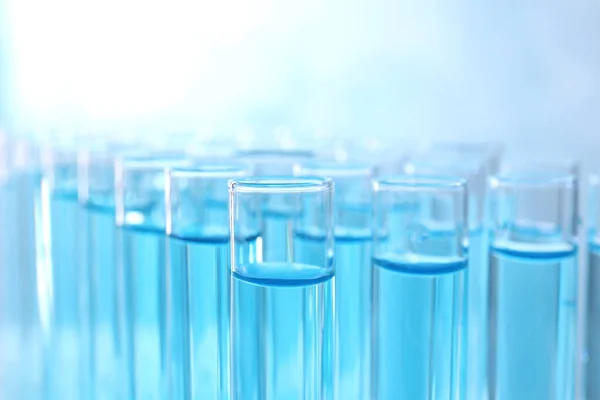 Muitos tubos de ensaio com líquido azul claro sobre fundo cinzento, close-up — Fotografia de Stock