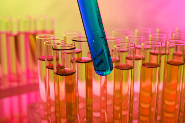 Беру пробирку с образцом голубой жидкости, крупным планом. Эффект цветового тона
