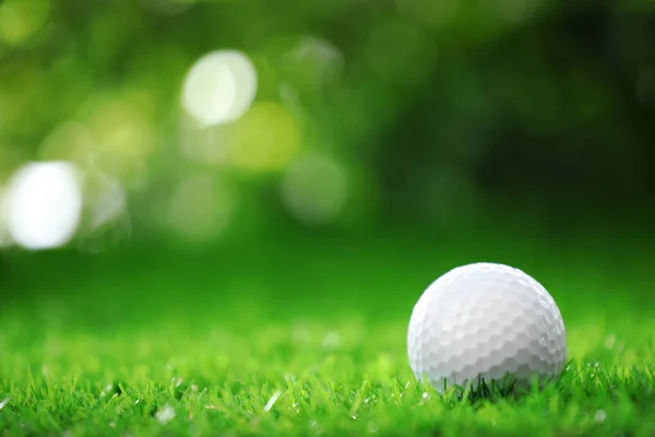 Bulanık arka planda yeşil çimlerde golf topu — Stok fotoğraf