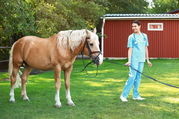 Jeune vétérinaire avec cheval palomino à l'extérieur le jour ensoleillé — Photo