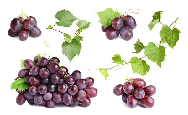 Set of fresh juicy grapes and leaves on white background — ストック写真