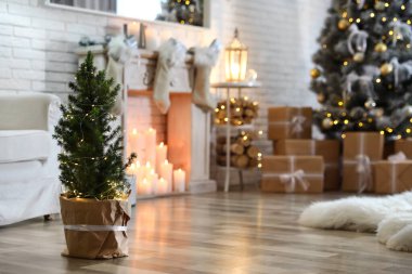 Şık oda içinde peri ışıkları olan saksı Noel ağacı.