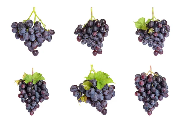 Set van verse sappige druiven op witte achtergrond — Stockfoto