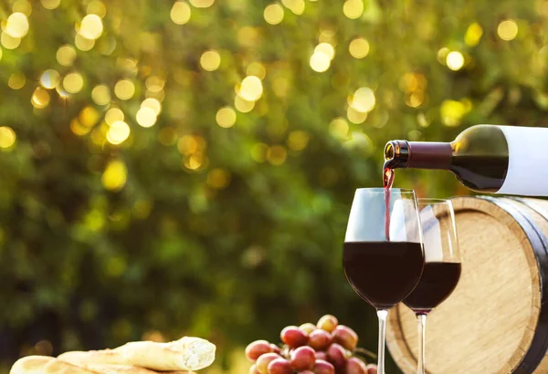 Versare il vino dalla bottiglia al bicchiere all'aperto, spazio per il testo — Foto Stock