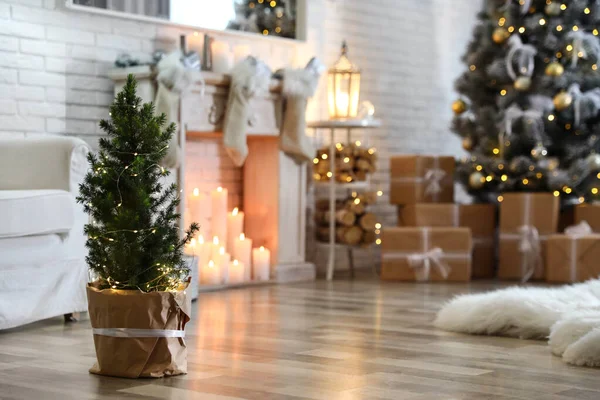 Cserepes karácsonyfa tündér fények elegáns szoba belső — Stock Fotó