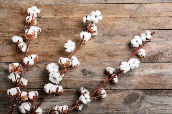 木製の背景に綿の植物の枝とフラットレイアウト組成 — ストック写真
