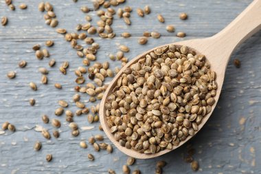 Gri ahşap masada kaşıkta organik kenevir tohumları, üst manzara.