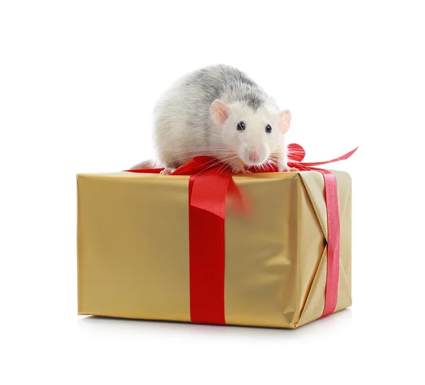 Rato pequeno bonito e caixa de presente no fundo branco. Símbolo do Ano Novo Chinês — Fotografia de Stock