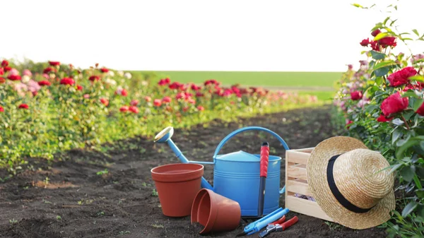 Topi jerami, peralatan berkebun dan peralatan dekat semak mawar di luar ruangan — Stok Foto