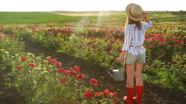 Vrouw met gieter kan in de buurt van rozenstruiken buitenshuis. Tuinieren, gereedschap — Stockfoto