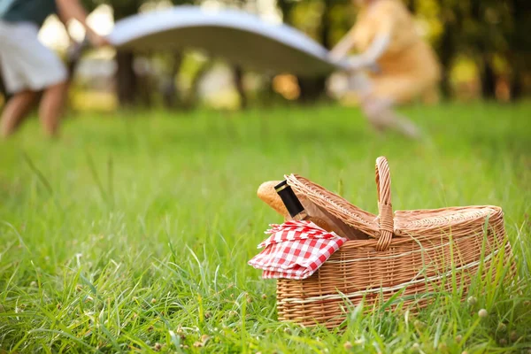 Weidenkorb mit Wein und Brot auf grünem Gras — Stockfoto