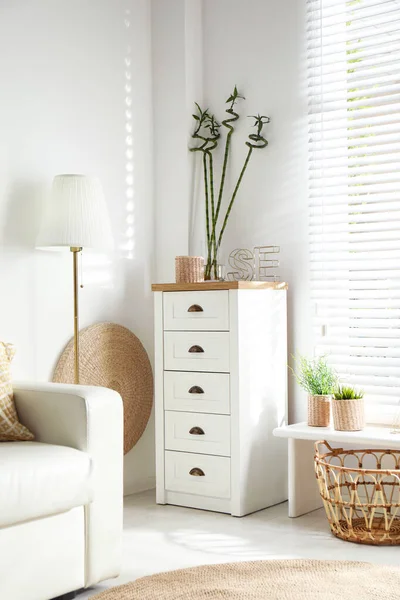 Beautiful tropical plants with green leaves in stylish living room interior — Stock Photo, Image