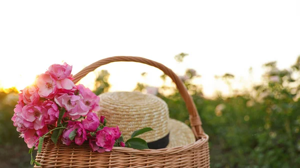 Keranjang yang lebih tebal dengan topi jerami dan mawar di luar ruangan. Berkebun — Stok Foto