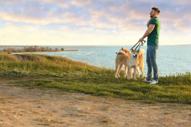 Nehir kenarında onun sevimli Akita Inu köpekleri yürüyüş genç adam