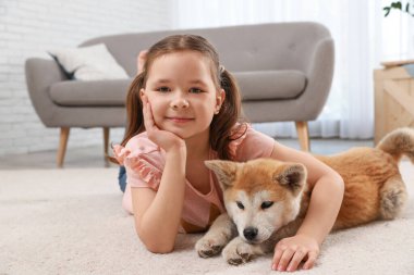 Yerde Akita Inu köpek ile mutlu kız. Küçük arkadaşlar