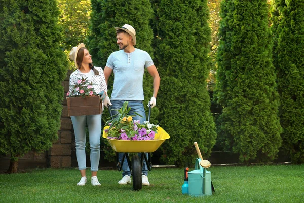 Heureux couple travaillant ensemble dans un jardin vert — Photo