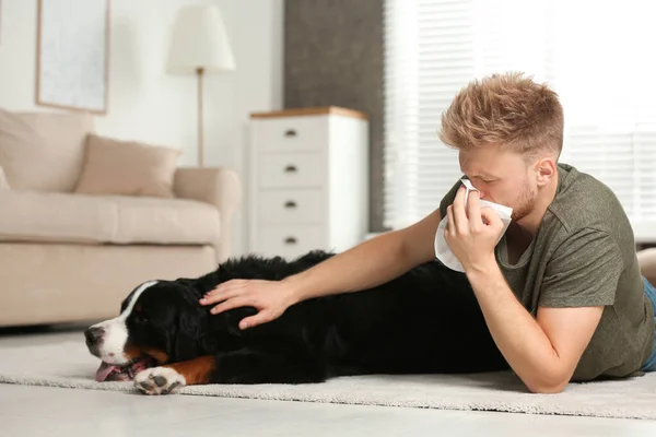 Ung man som lider av pälsallergi hemma — Stockfoto