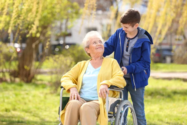 Mujer mayor en silla de ruedas con su nieto en un día soleado al aire libre Imagen De Stock