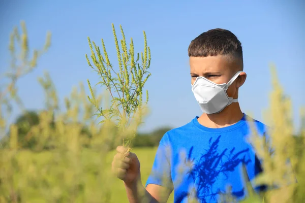 Kleiner Junge mit Ragweed-Ast leidet unter Allergie im Freien — Stockfoto