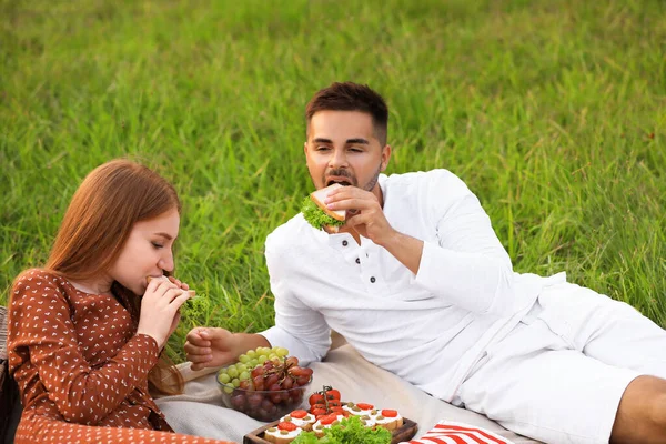 Mutlu genç çift yeşil parkta piknik — Stok fotoğraf